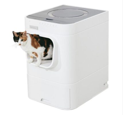LavvieBot automatische selbstreinigende Toilette für Katzen