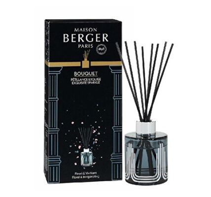 Maison Berger Paris Aróma difuzér Olymp šedý Intenzívny ligot Exquisite sparkle 115 ml
