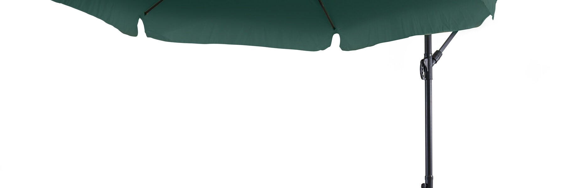 Slnečník Empoli so základňou – zelený
