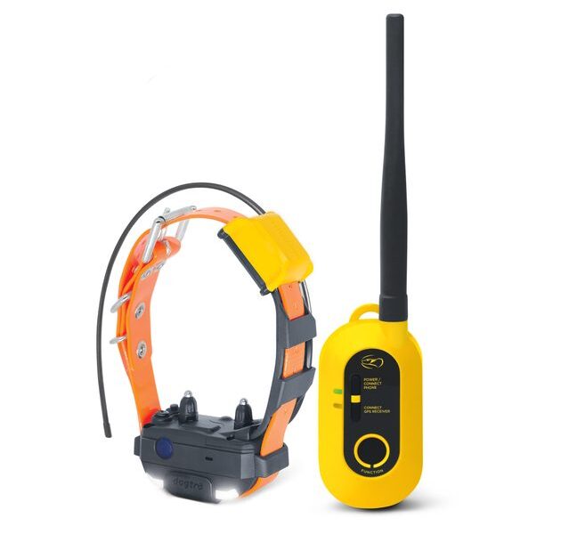 Dogtra Pathfinder 2 Mini – GPS- und Trainingshalsband