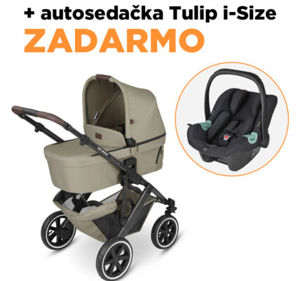 ABC DESIGN Kočík kombinovaný Salsa 4 Air 2023 reed Classic + autosedačka Tulip i-Size ZADARMO