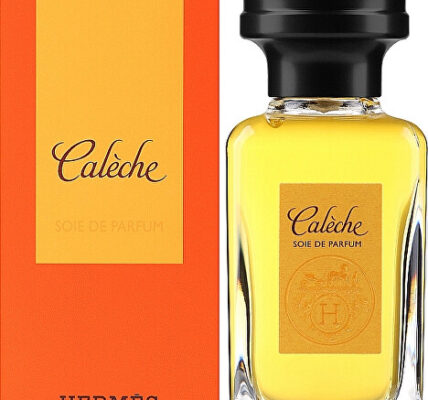 Hermes Calèche Soie de Parfum – EDP 100 ml