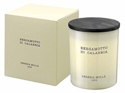 Cereria Mollá Vonná sviečka krémová Bergamotto di Calabria (Candle) 230 g