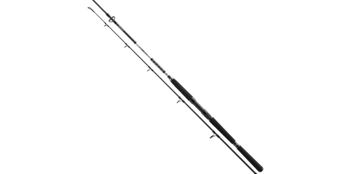 Daiwa prút bg pilk 2,70 m 40-125 g