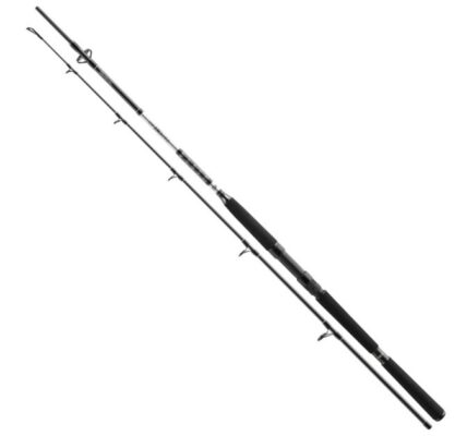 Daiwa prút bg pilk 2,70 m 40-125 g