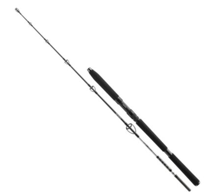 Daiwa prút bg jigger 1,70 m 150-400 g