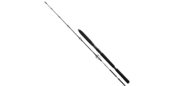 Daiwa prút bg jigger 1,70 m 150-400 g