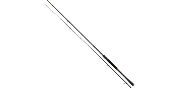 Daiwa prút prorex xr spin 2,40 m 15-50 g