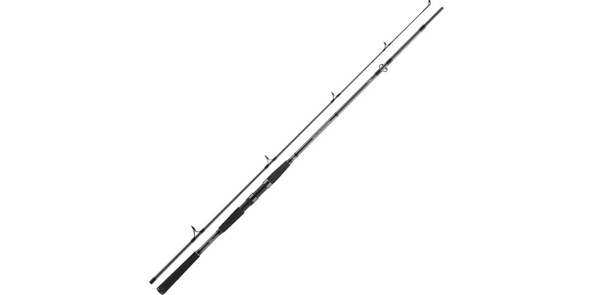 Daiwa prút seahunter x 2,4 m 100-200 g